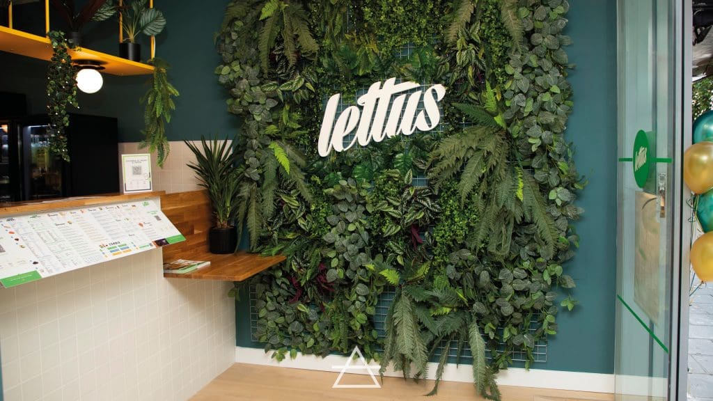 LETTUS MARBELLA (3)