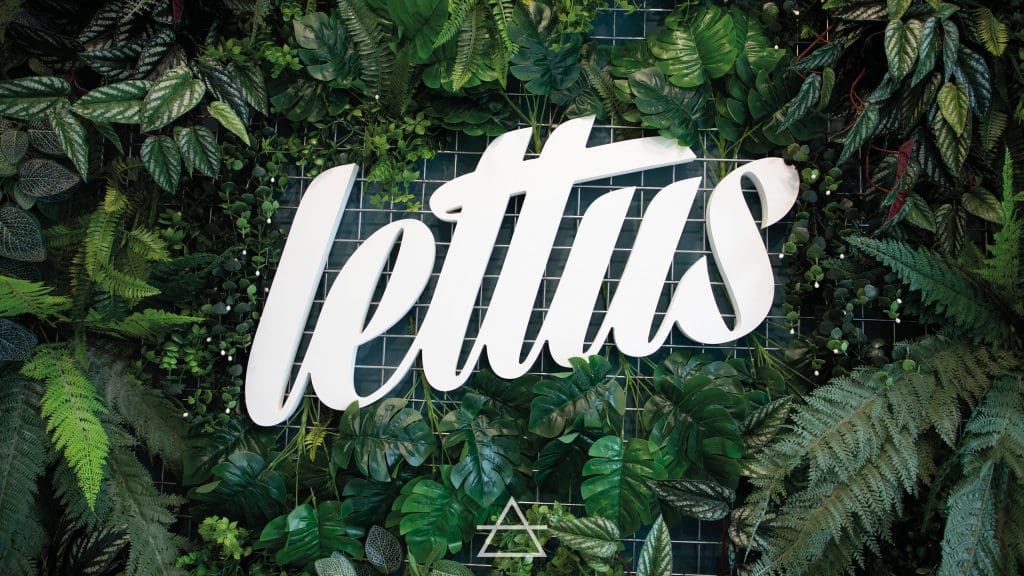 LETTUS MARBELLA (6)